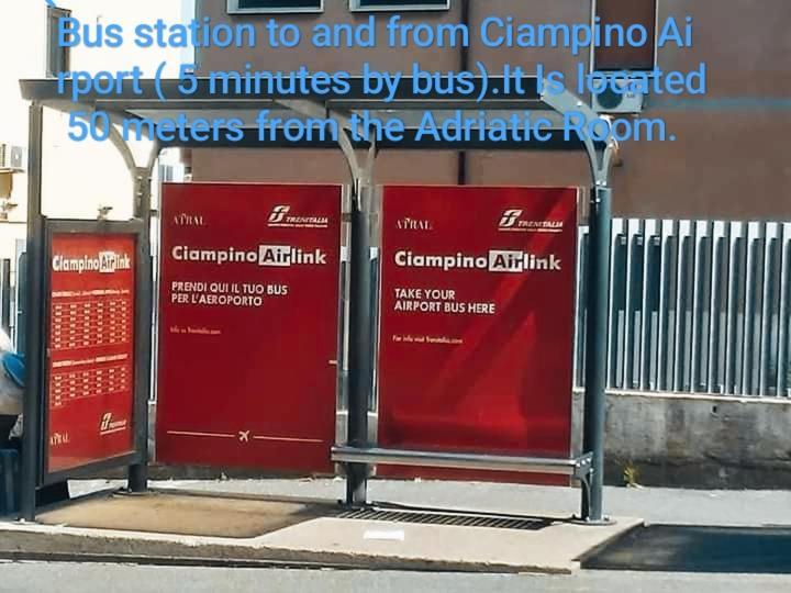 Adriatic Room 50 M Dalla Stazione Ferroviaria Di Ciampino E Dalla Navetta Aeroportuale Экстерьер фото